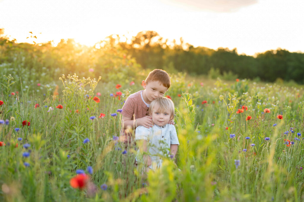 Flower Field 